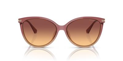 Michael Kors MK2184U 325678 Kadın Güneş Gözlüğü