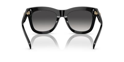 Michael Kors MK2193U 30058G 52 Kadın Güneş Gözlüğü