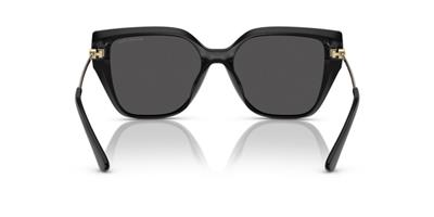 Michael Kors MK2231U 300587 Kadın Güneş Gözlüğü
