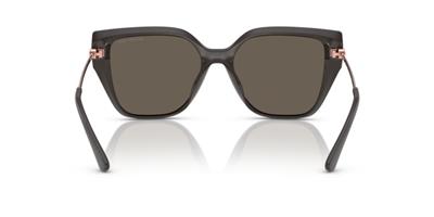 Michael Kors MK2231U 4003/3 54 Kadın Güneş Gözlüğü