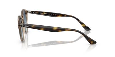 Ray-Ban 0RB2180 6788V1 49 PROPİONAT Erkek Güneş Gözlüğü