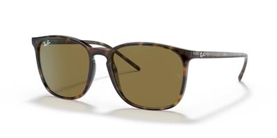 Ray-Ban 0RB4387 710/73 56 Enjeksiyon Erkek Güneş Gözlüğü