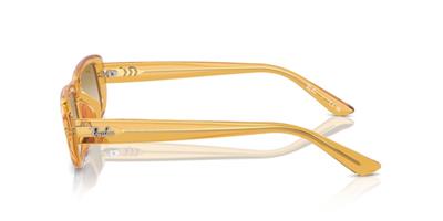 Ray-Ban 0RB4436D 668213 55 Enjeksiyon UNISEX Güneş Gözlüğü