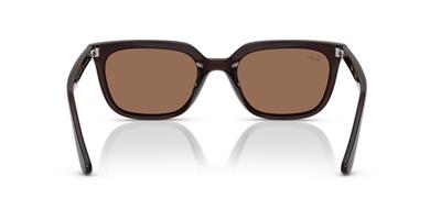 Ray-Ban 0RB4439D 623173 54 PROPİONAT UNISEX Güneş Gözlüğü