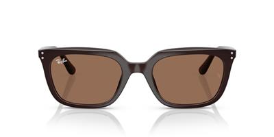 Ray-Ban 0RB4439D 623173 54 PROPİONAT UNISEX Güneş Gözlüğü