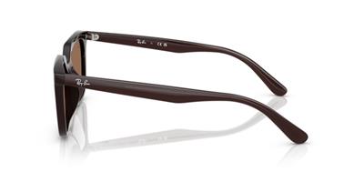 Ray-Ban 0RB4439D 623173 54 PROPİONAT UNISEX Güneş Gözlüğü