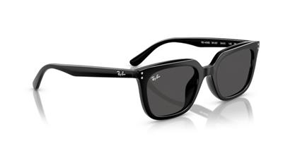 Ray-Ban 0RB4439D 901/87 54 PROPİONAT UNISEX Güneş Gözlüğü