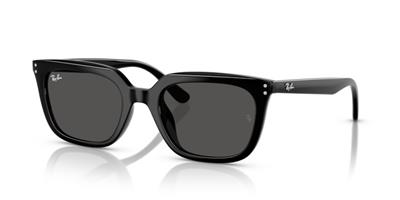 Ray-Ban 0RB4439D 901/87 54 PROPİONAT UNISEX Güneş Gözlüğü