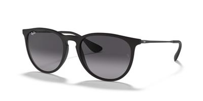 Ray-Ban RB4171 622/8G Kadın Güneş Gözlüğü