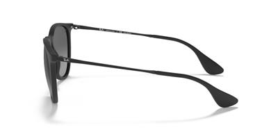 Ray-Ban RB4171 622/T3 Kadın Güneş Gözlüğü