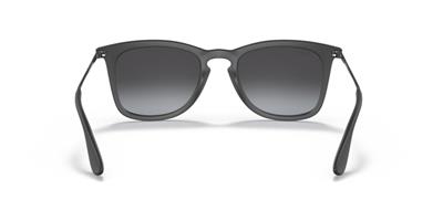 Ray-Ban RB4201 622/8G 59 Unisex Güneş Gözlüğü