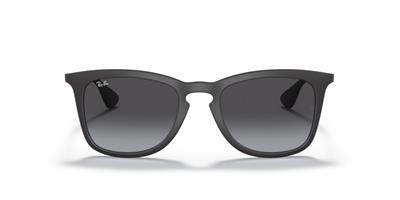 Ray-Ban RB4201 622/8G 59 Unisex Güneş Gözlüğü