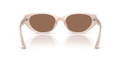 Ray-Ban Rb4457D 678673 55 Kadın Güneş Gözlüğü