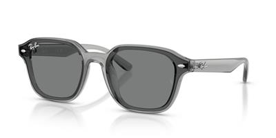 Ray-Ban Rb4458D 645087 65 Erkek Güneş Gözlüğü