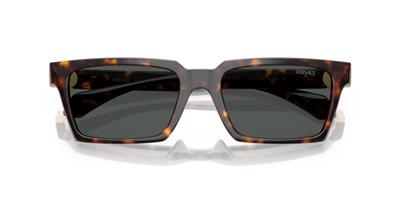 Versace 0VE4490U 108/87 55 Enjeksiyon Erkek Güneş Gözlüğü