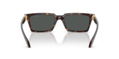Versace 0VE4490U 108/87 55 Enjeksiyon Erkek Güneş Gözlüğü