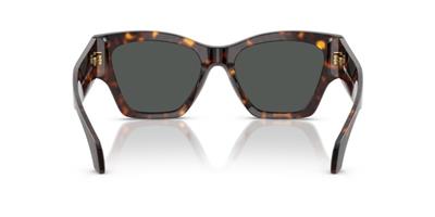 Versace 0VE4492U 108/87 53 Asetat Kadın Güneş Gözlüğü