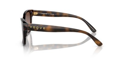 Vogue Eyewear VO5534SI W65613 53 Kadın Güneş Gözlüğü