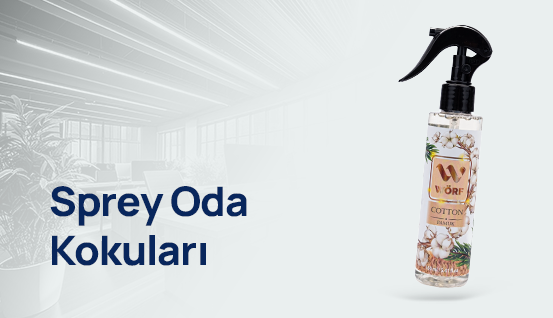 Oto Kokuları