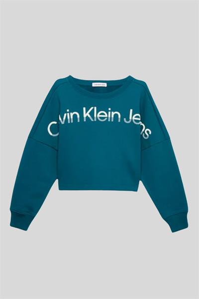 Calvin Klein Erkek Çocuk Logolu Kapüşonlu Sweatshirt Mavi