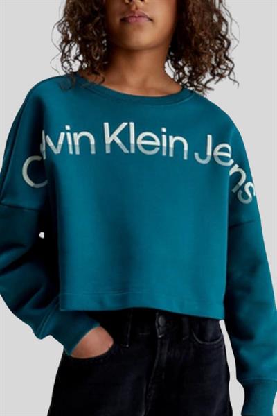 Calvin Klein Erkek Çocuk Logolu Kapüşonlu Sweatshirt Mavi