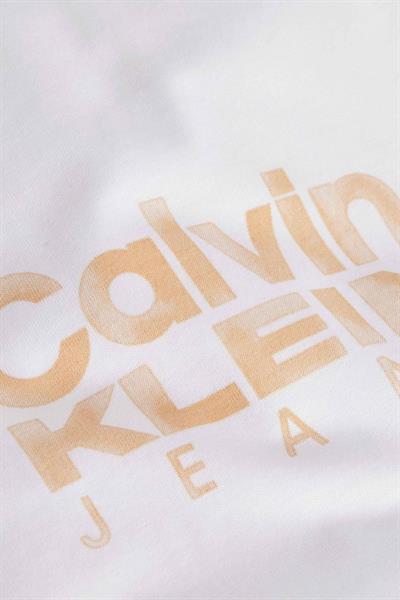 Calvin Klein Erkek Kalın Renkli Kurumsal Baskılı T-Shirt Beyaz