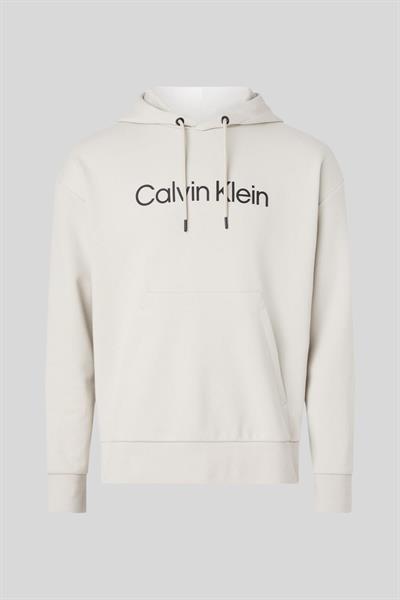 Calvin Klein Erkek Regular Fit Marka Logolu Kapüşonlu Sweatshirt Bej