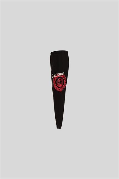 Just Cavalli Lastikli Bel Slim Fit Erkek Eşofman Altı Siyah 01D