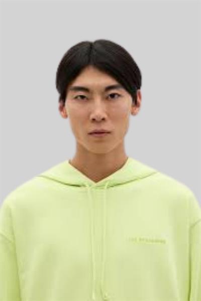 Les Benjamins Erkek  Sweatshirt Yeşil