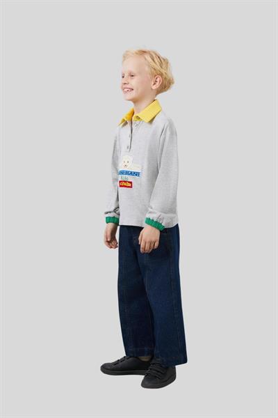 Mani Mani Erkek Çocuk Nakış Detaylı Gömlek Yaka Sweatshirt Gri
