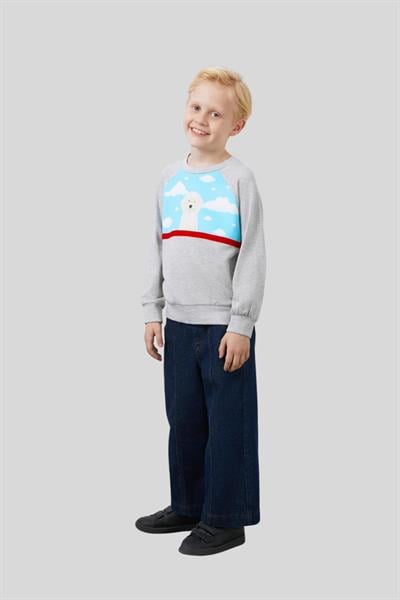Mani Mani Erkek Çocuk Yuvarlak Yaka Baskı Ve Şerit Detaylı Sweatshirt Gri
