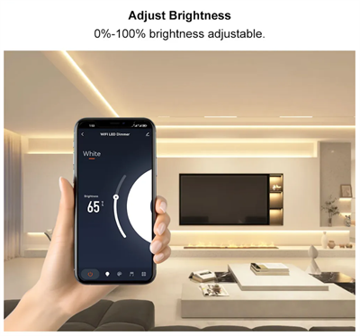  WIFI RF LED DIMMER 12/24V 2x6A