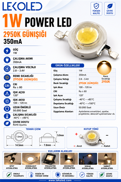 1W POWER LED 2950K GÜNIŞIĞI 350mA