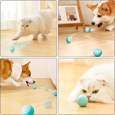 İnteraktif Kedi Köpek Şarjli Oyun Topu