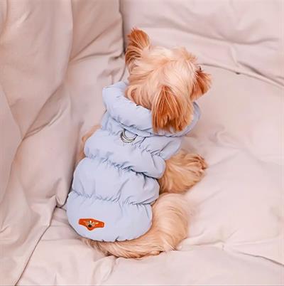 Köpek Mont M Beden