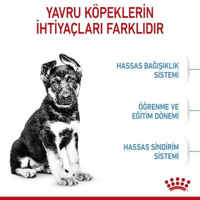 Royal Canin Maxi Puppy 15 Kg