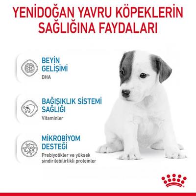 Royal Canin Babydog Milk