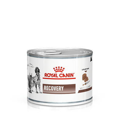 Royal Canin Veterinary Recovery Dog & Cat Mousse 195 g