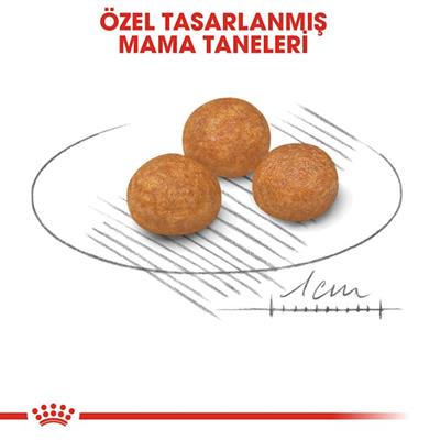 Royal Canin X-Small Adult 3 Kg