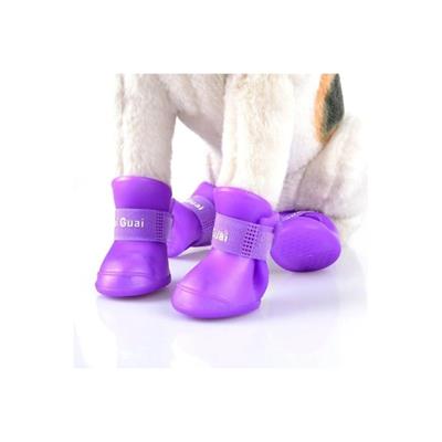 Silikon Kedi Ayakkabısı
