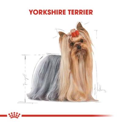 Royal Canin Yorkshire Terrier Adult 1.5 Kg