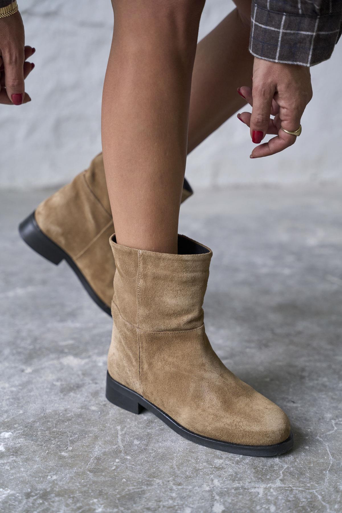 LASHİO TABA SÜET BOT