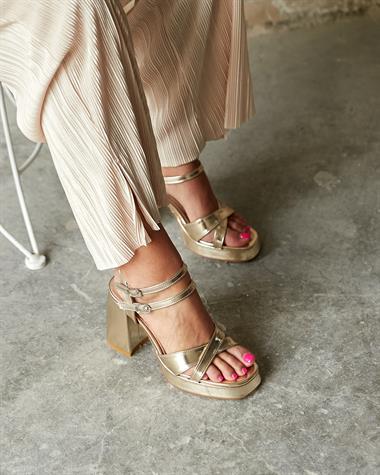 SHAKER GOLD PLATFORM 