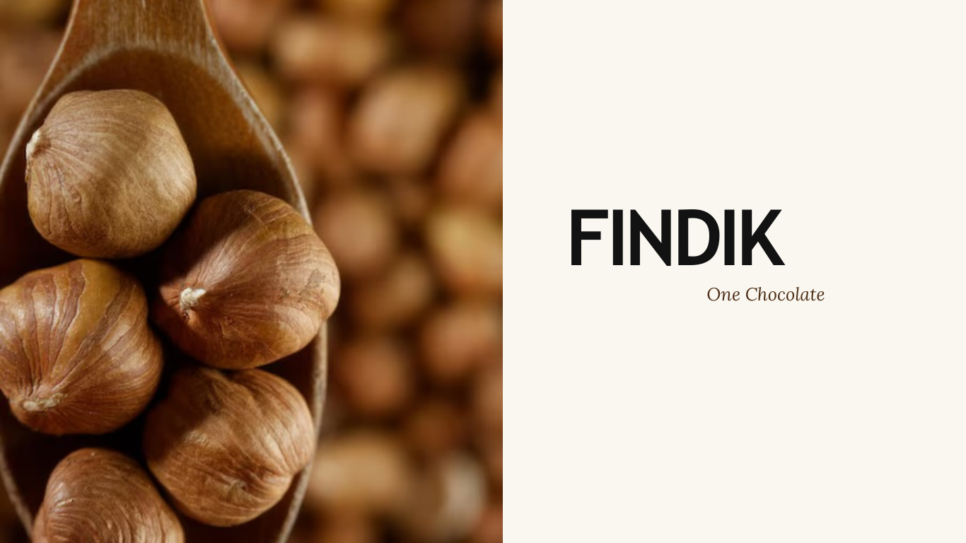 Blog - Fındık