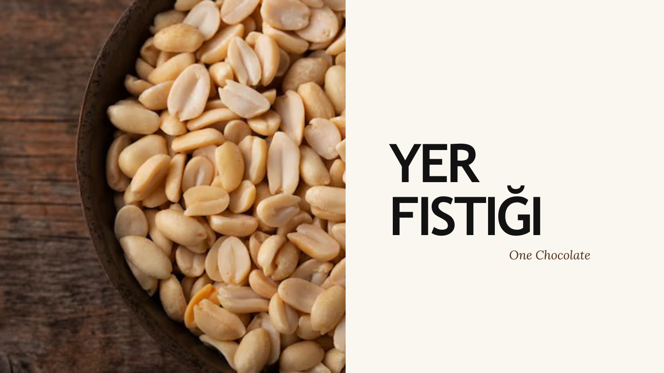 Blog - Yer Fıstığı