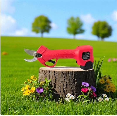 F20 BUDAMA MAKASI ÇİFT AKÜLÜ 25mm (PALMERA)