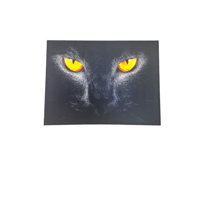 İBİCO ( BÜYÜK ) ( LED IŞIKLI ) ( 64X84CM ) KANVAS TABLO