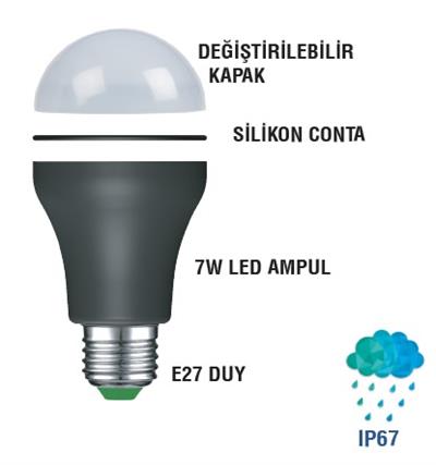 MUTLUSAN Dekoratif Led Ampul