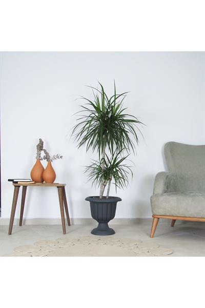 Serinova Nergis Saksı No.1 9,8 Litre Antrasit