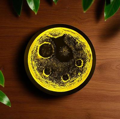 Tasarım Dekoratif Ledli Tablo – 80 CM | El Yapımı Sanatın Işıltısı NO:2